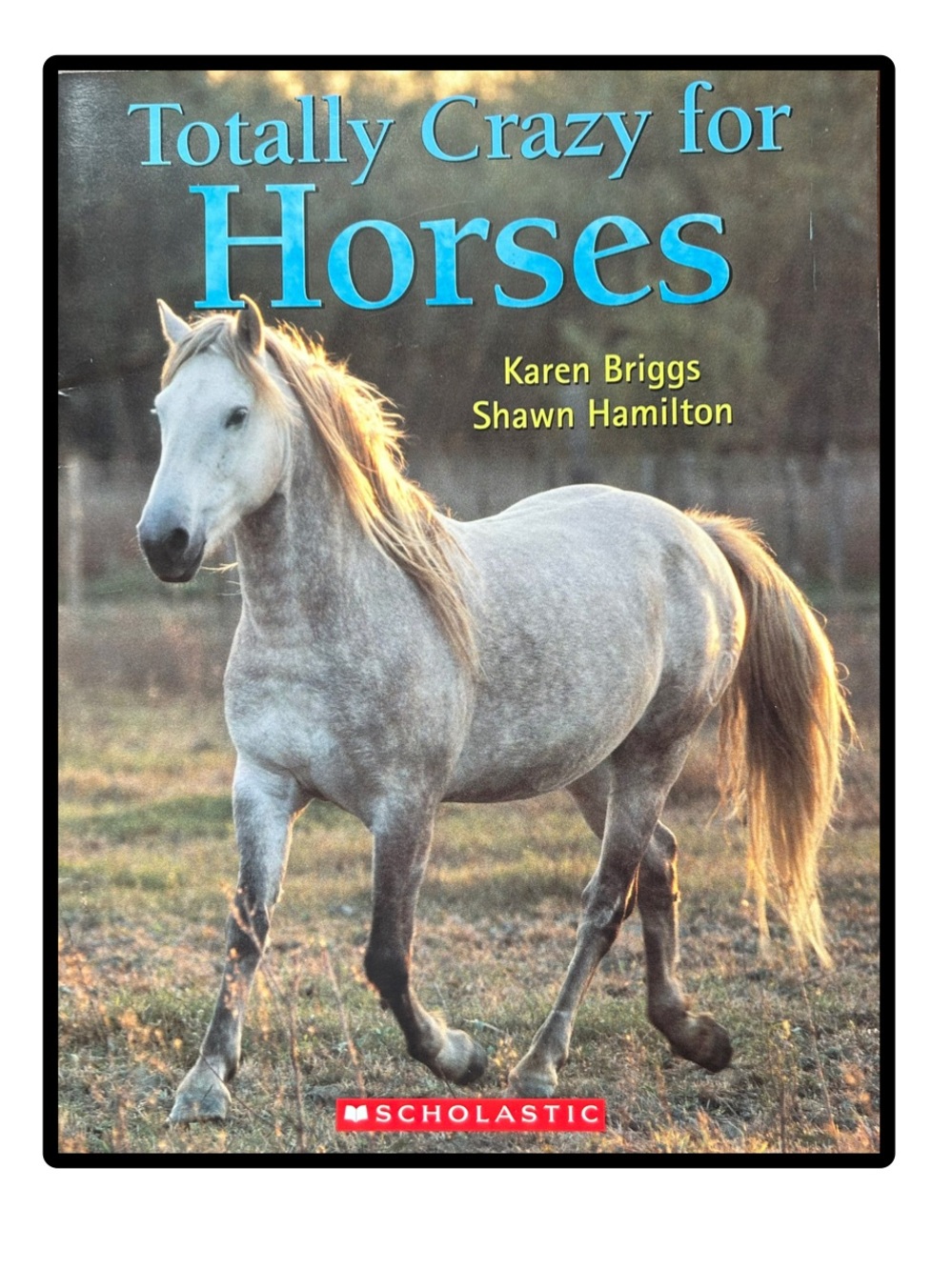 Totally Crazy for Horses Softcover book by Karen Briggs